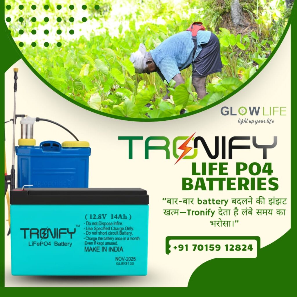 WhatsApp Image 2025-12-10 at 11.30.44